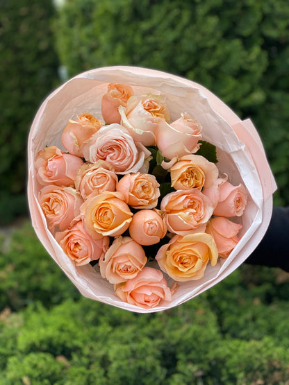 19 Roses Variety Ember Sun Powdery Peony Roses