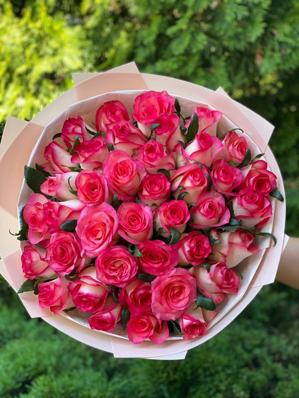 39 Roses Variety Jumilia