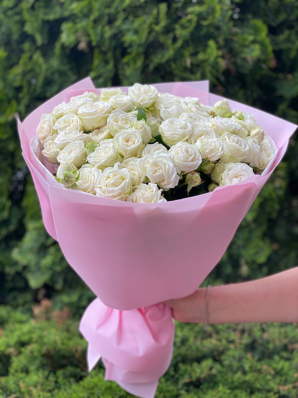 39 Spray Peony Roses Variety Miss Bombastic
