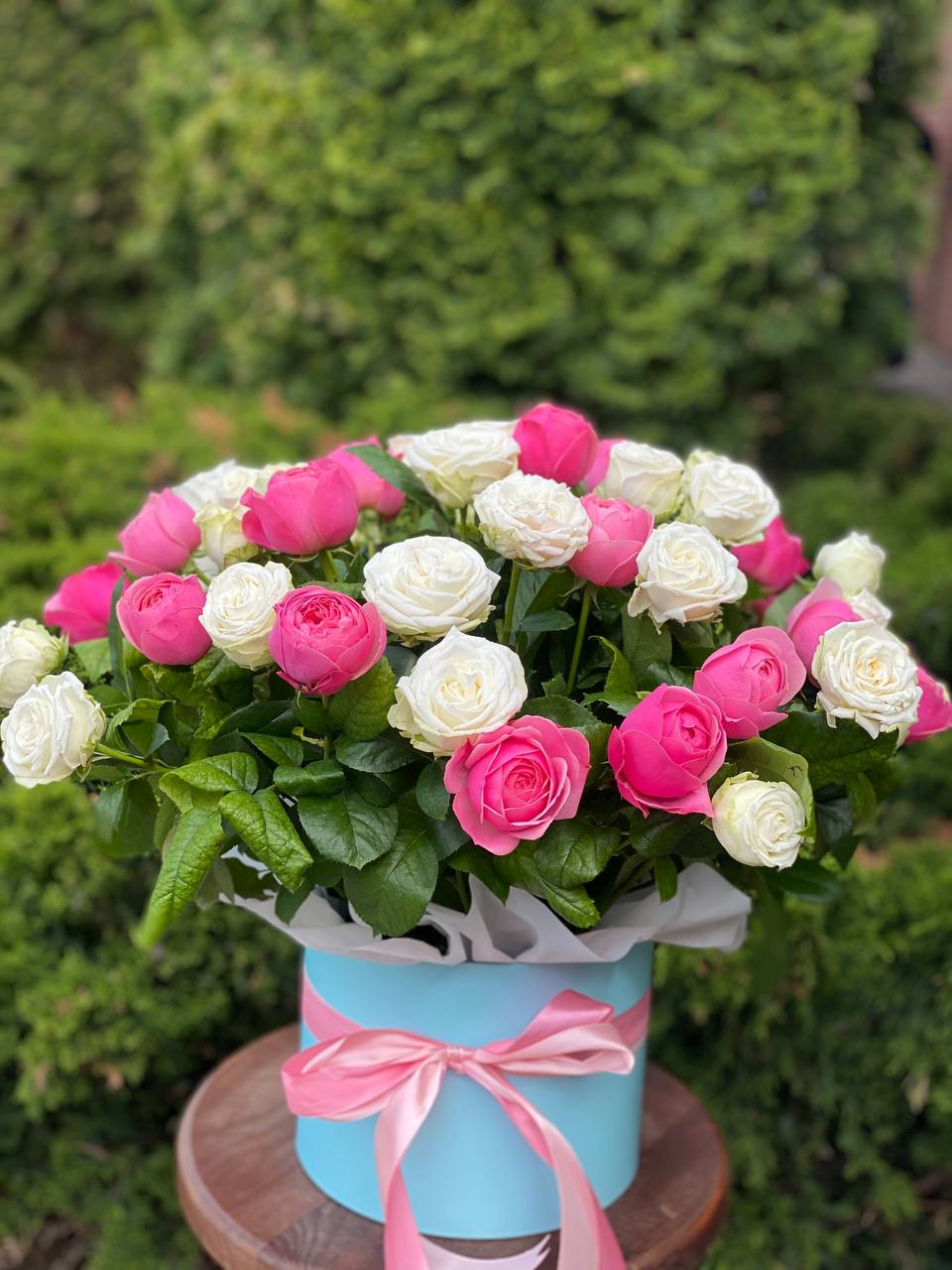 Hat Box size XL 51 Roses (Variety Miss Bombastic and Line)
