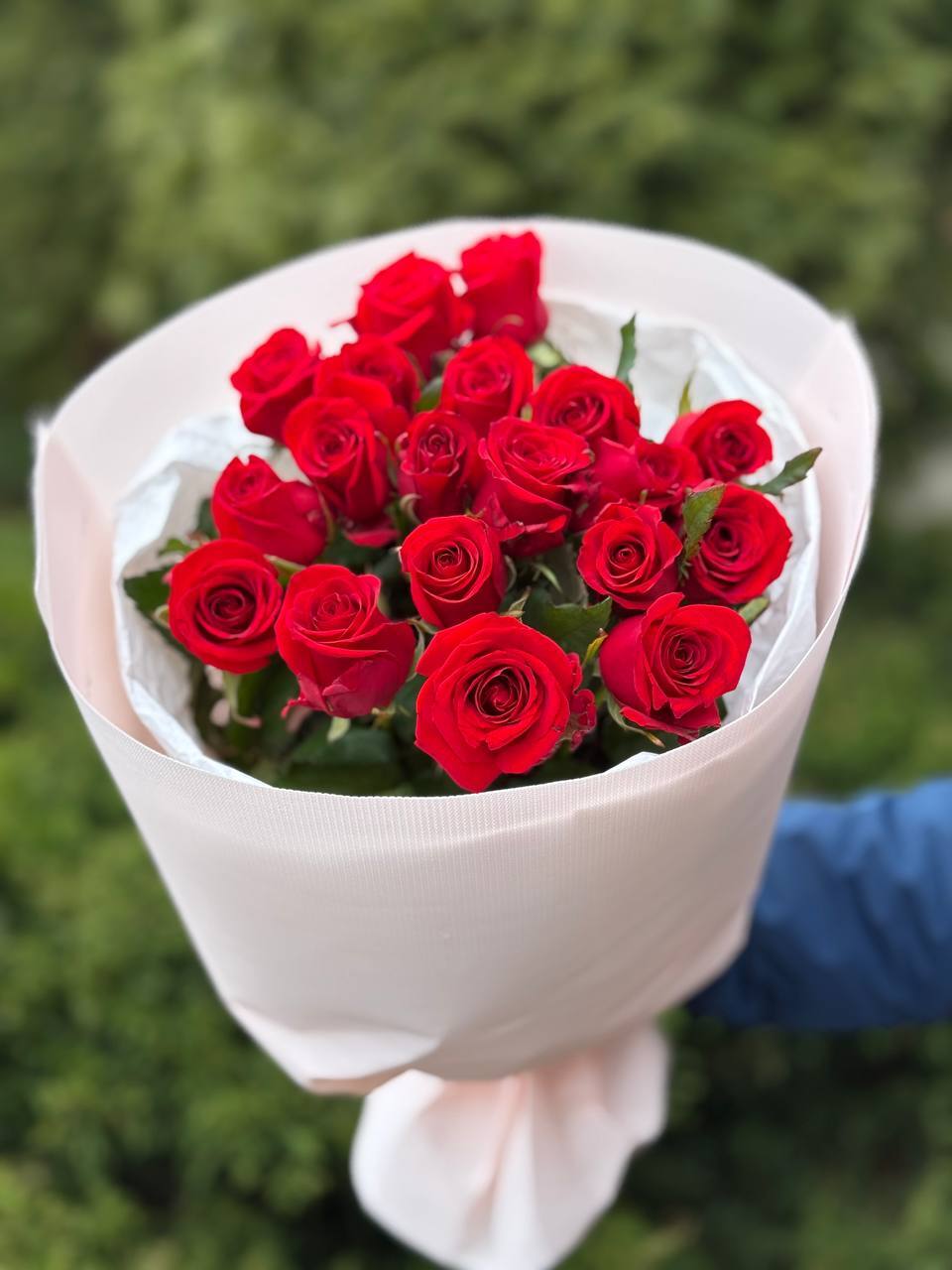 19 roses of the Red Eagle variety