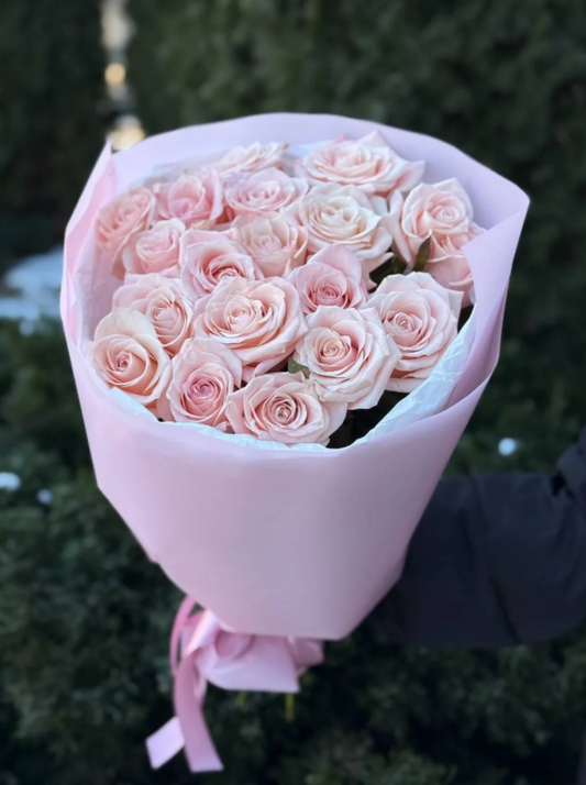 19 Roses Variety Kimberly