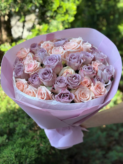 39 Roses Varieties Kimberly and Violet