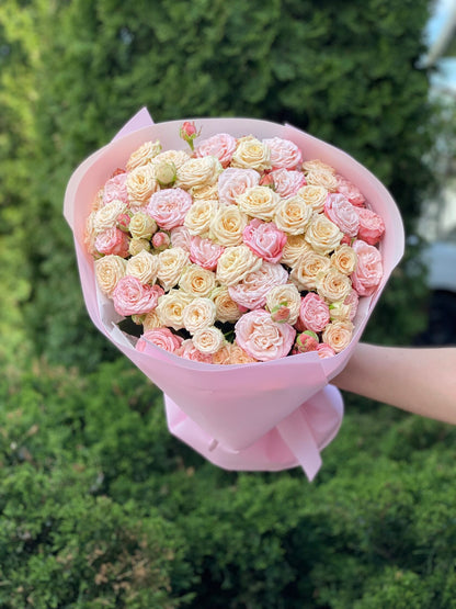 39 Roses Varieties Tanja and Bombastic