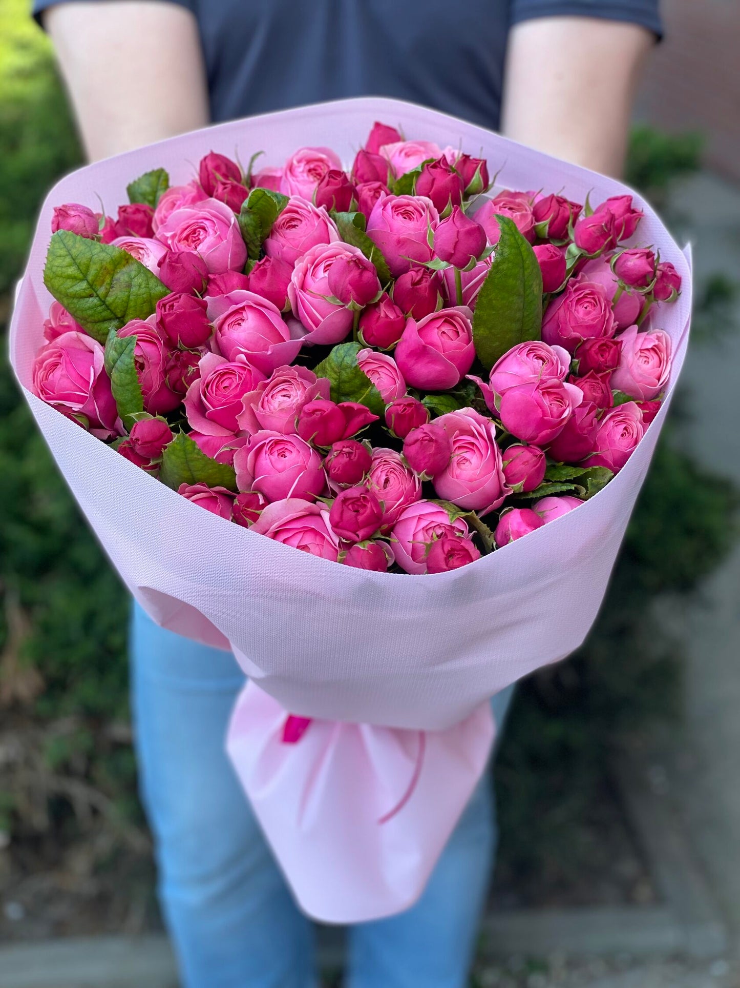 39 Roses Varieties Light and Majestic