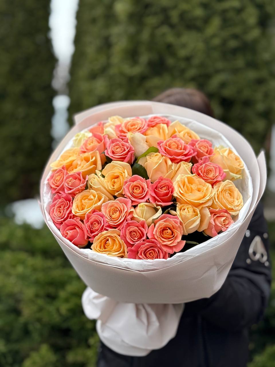 39 Roses Varieties Miss Piggy and Peach Avalanche