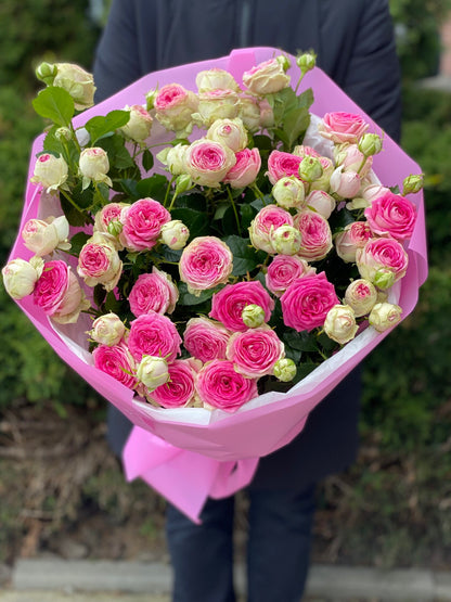 19 spray peony-shaped roses Gelato