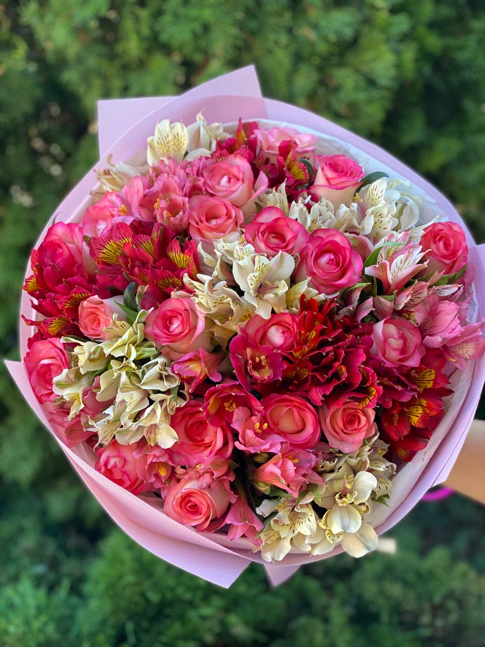 Bouquet of 39 stems Jumilia variety and Alstroemeria