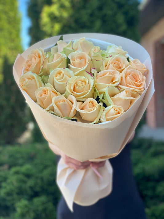 19 roses variety Peach Avalanche