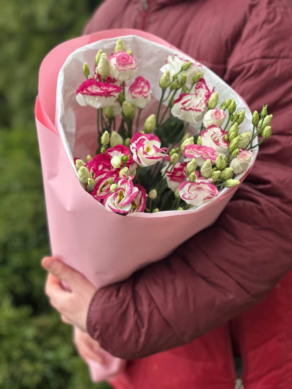 Eustoma 9 stems white-red (70 cm)