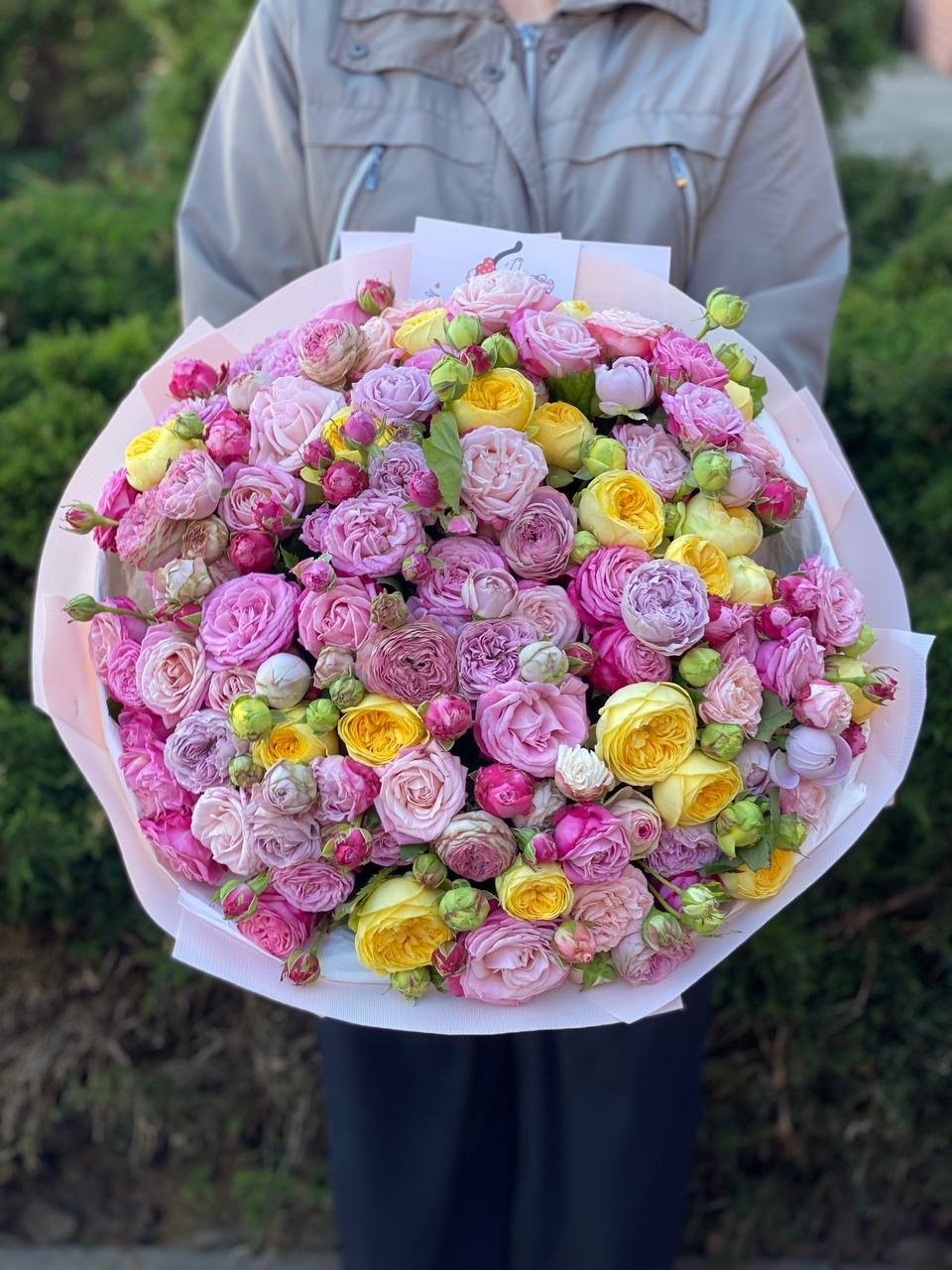 101 Peony Roses (Variety Lady Bombastic, Lavender, Peony)
