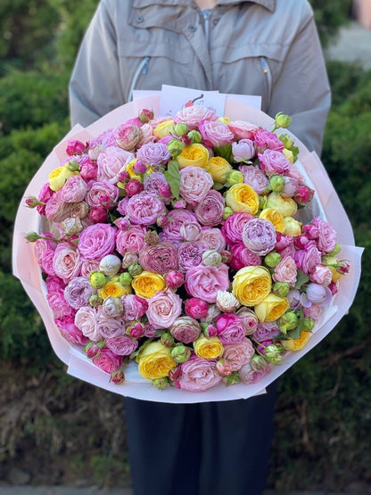 101 Peony Roses (Variety Lady Bombastic, Lavender, Peony)
