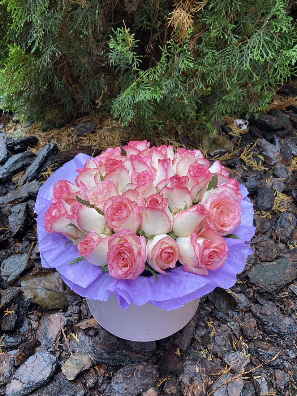 Flowers in a hat box, size M, variety Jumilia