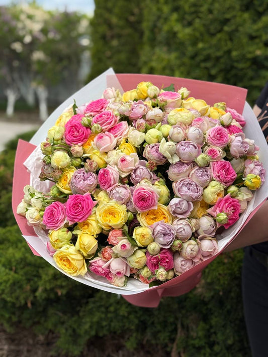 51 peony-style roses (Lavender, Gelato, Peony)