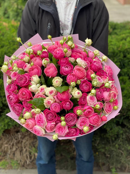 101 Peony Roses (Variety Light, Gelato, Majestic)
