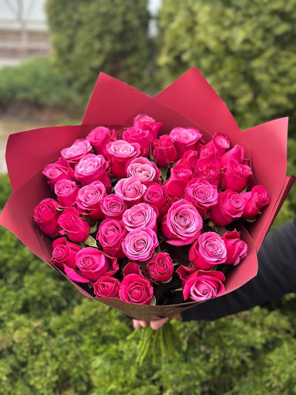39 Roses Variety Prince of Persia