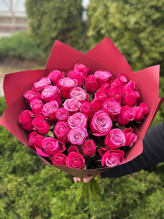 39 Roses Variety Prince of Persia