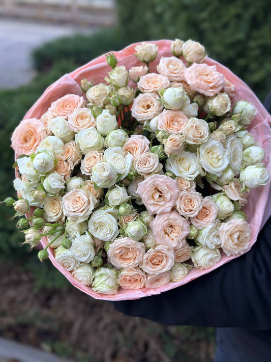 39 Roses Varieties Miss Bombastic and Bombastic
