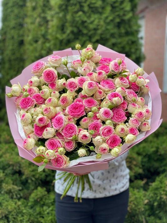 39 peony roses, Gelato variety
