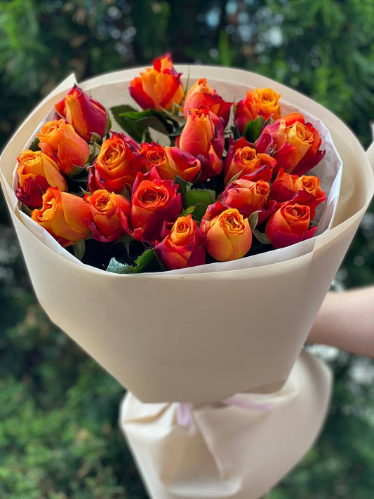 19 Roses Variety Holland Orange