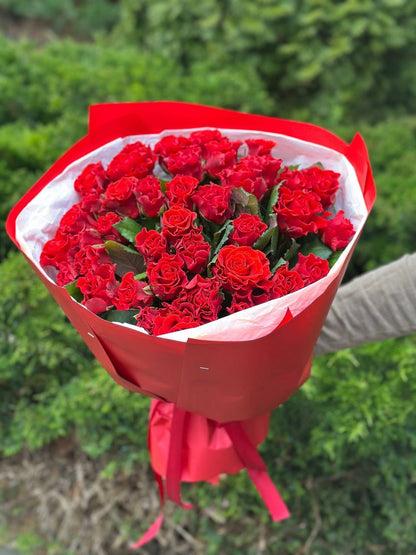39 Roses Variety El Toro