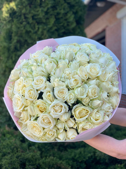 101 Roses Variety Avalanche