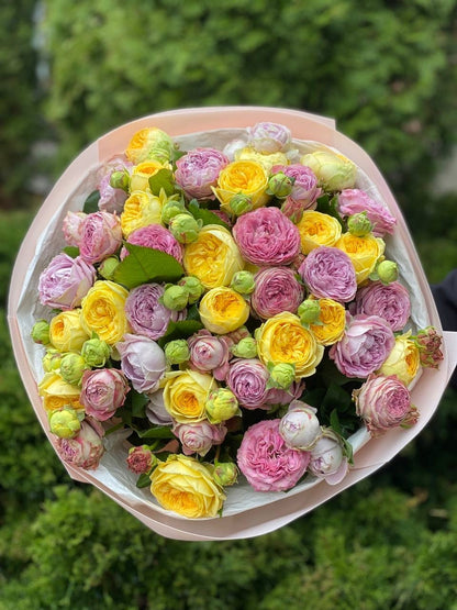 39 Roses Varieties Lavender and Peony