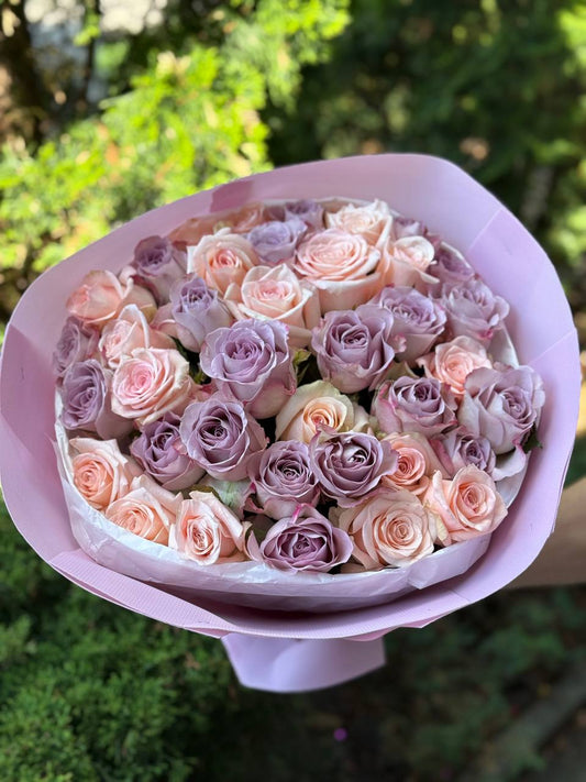 39 Roses Varieties Kimberly and Violet