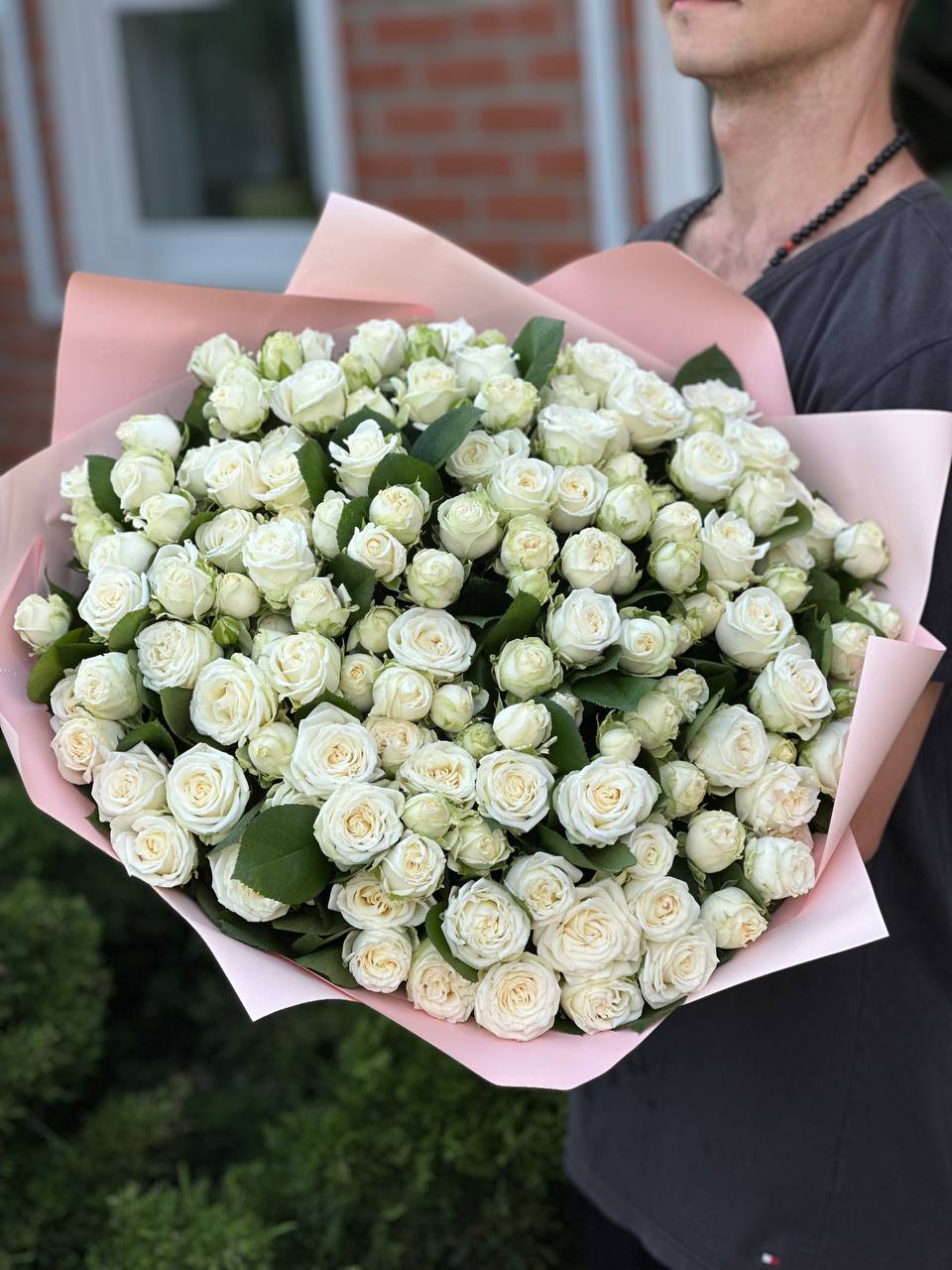 101 Roses Variety Miss Bombastic
