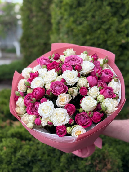 39 Roses Varieties Prince Bombastic and Majestic