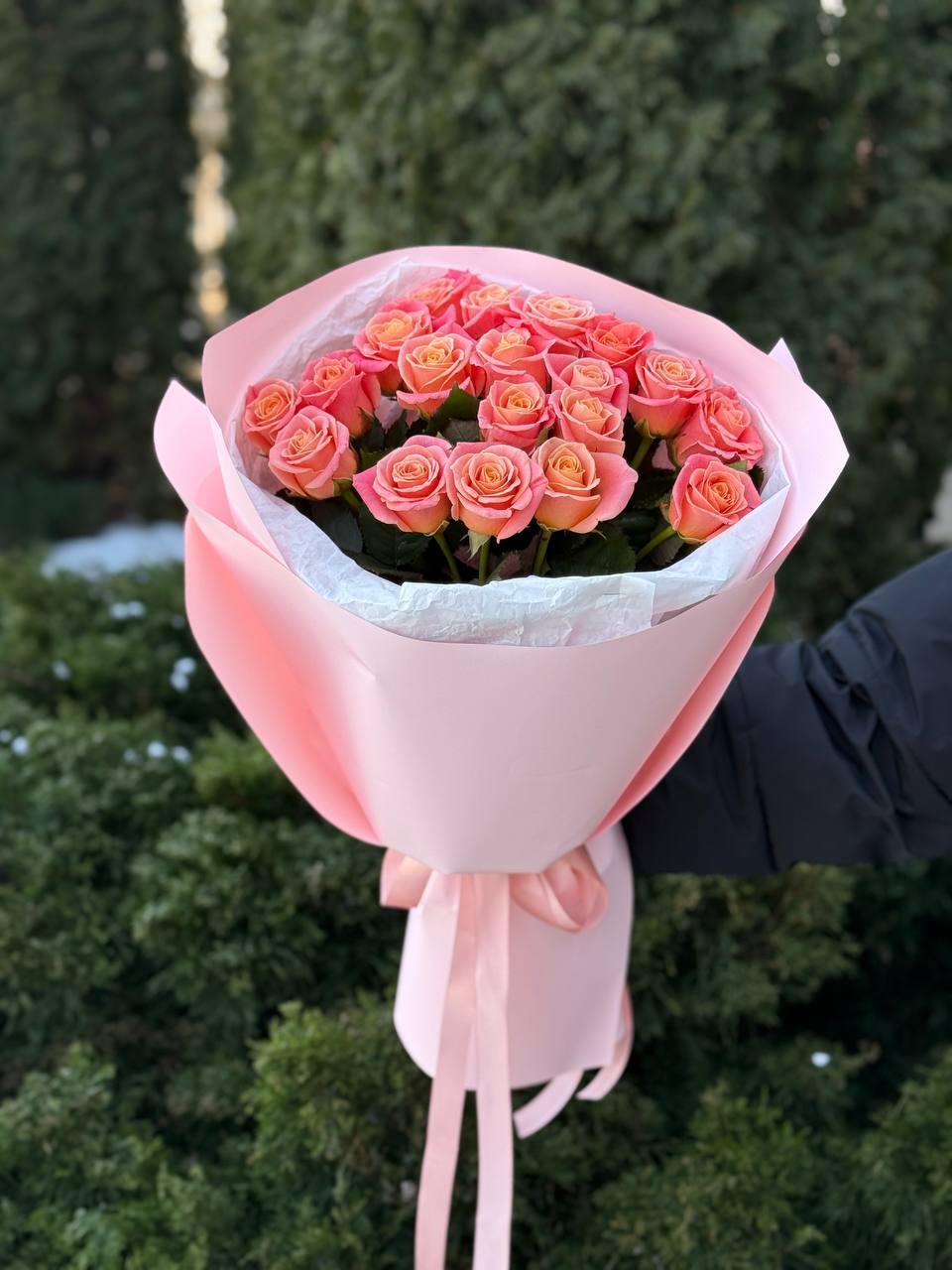 19 roses variety Miss Piggy
