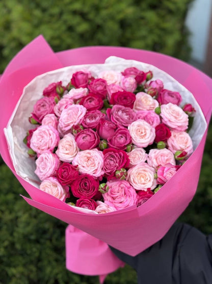 39 Roses Varieties Lady Bombastic and Majestic