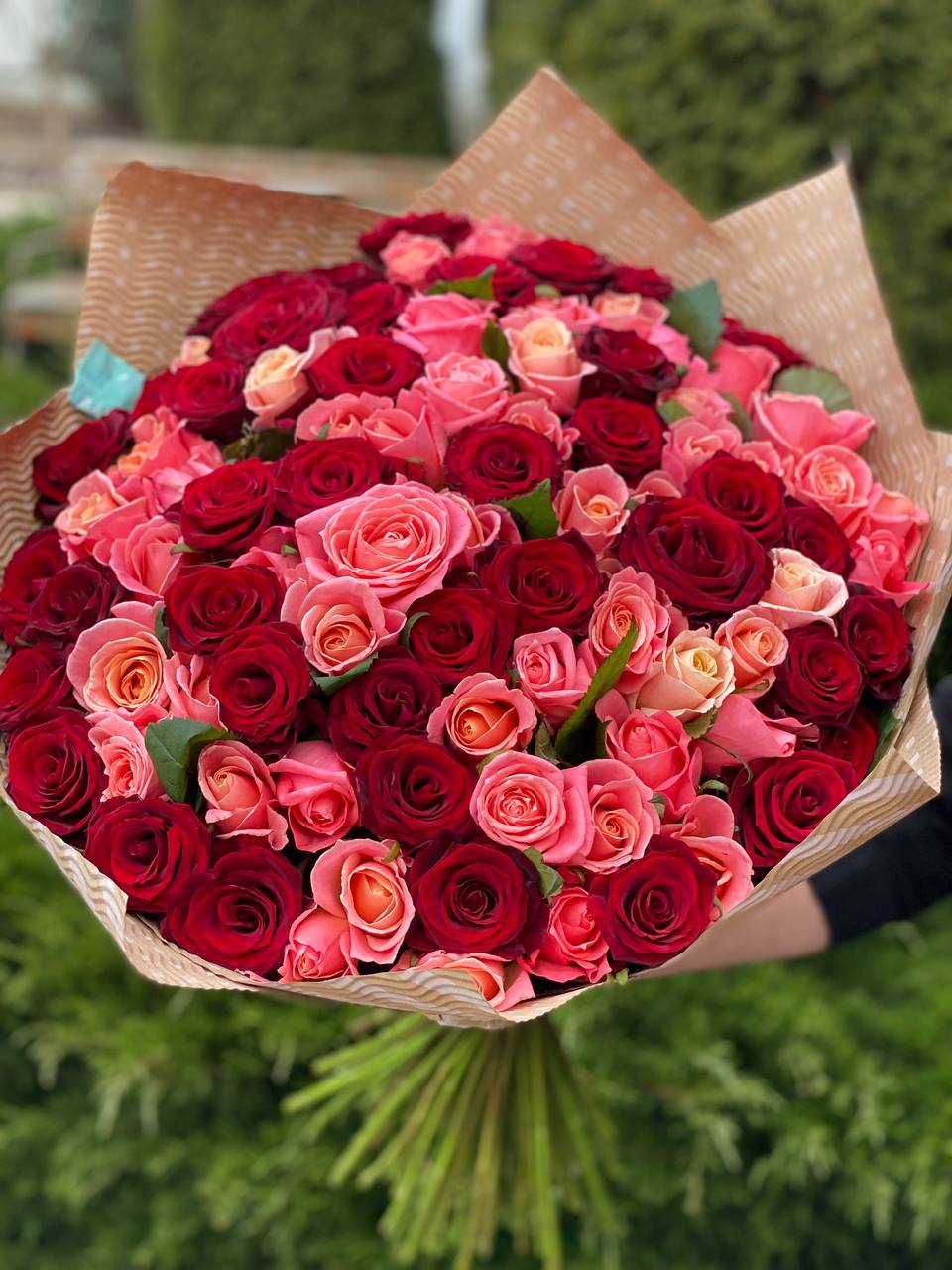 101 Roses Variety Miss Piggy and Red