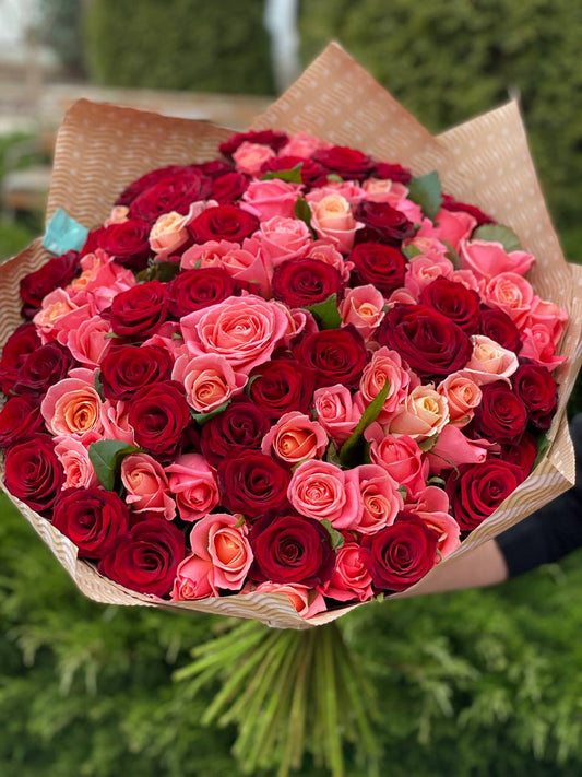 101 Roses Variety Miss Piggy and Red