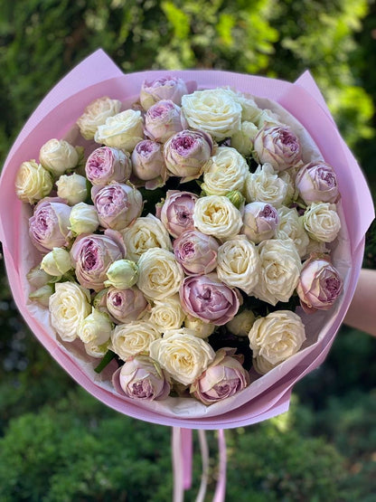 39 Roses Varieties Miss Bombastic and Lavender