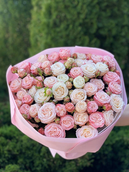 39 Roses Varieties Prince Bombastic and Bombastic