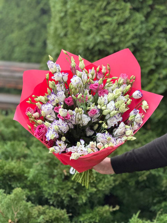 Eustoma 29 stems (70 cm)