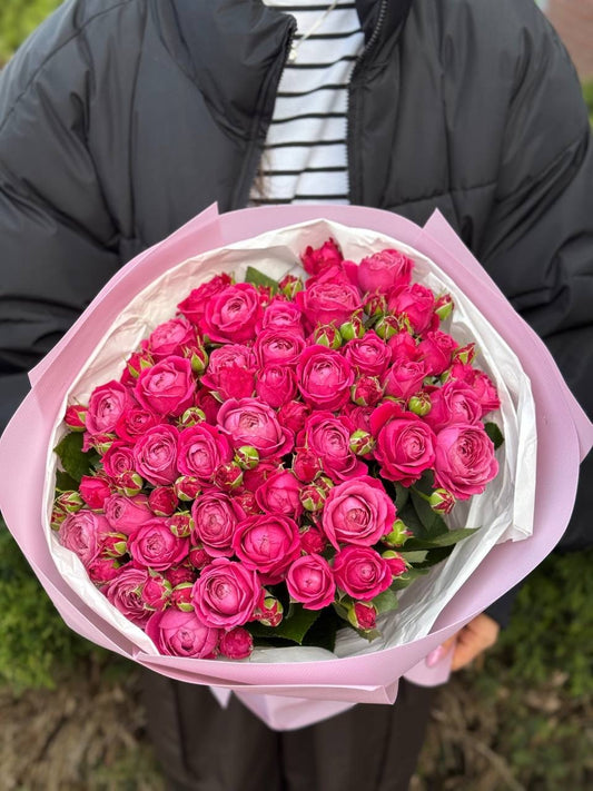 39 Peony Roses Variety Majestic