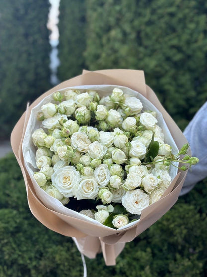 19 Spray Peony Roses Variety Miss Bombastic

