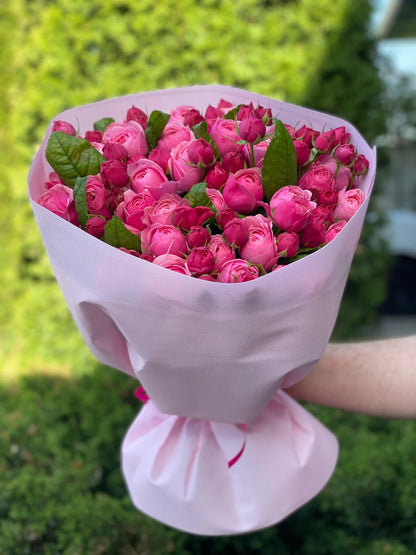 39 Roses Varieties Light and Majestic