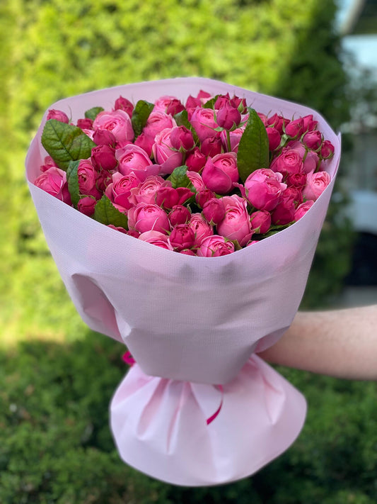 39 Roses Varieties Light and Majestic