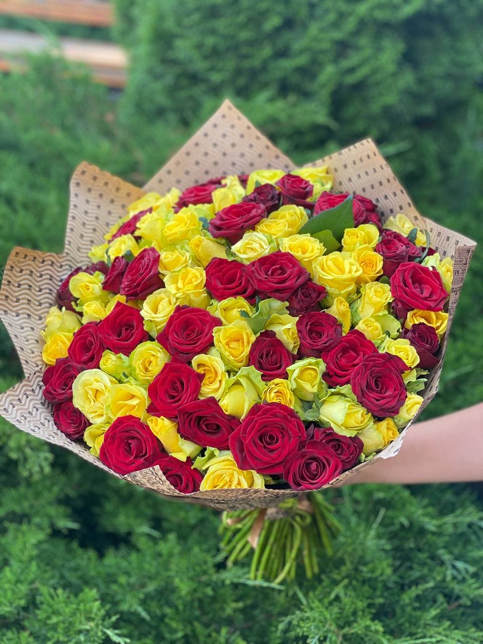 101 Roses Variety Yellow and Grand Prix