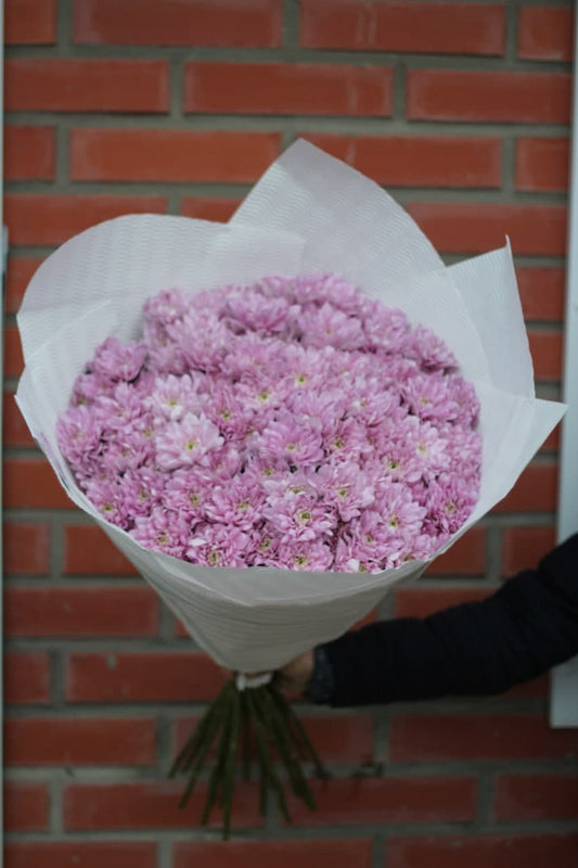 15 daisy-like chrysanthemums (color Pink)