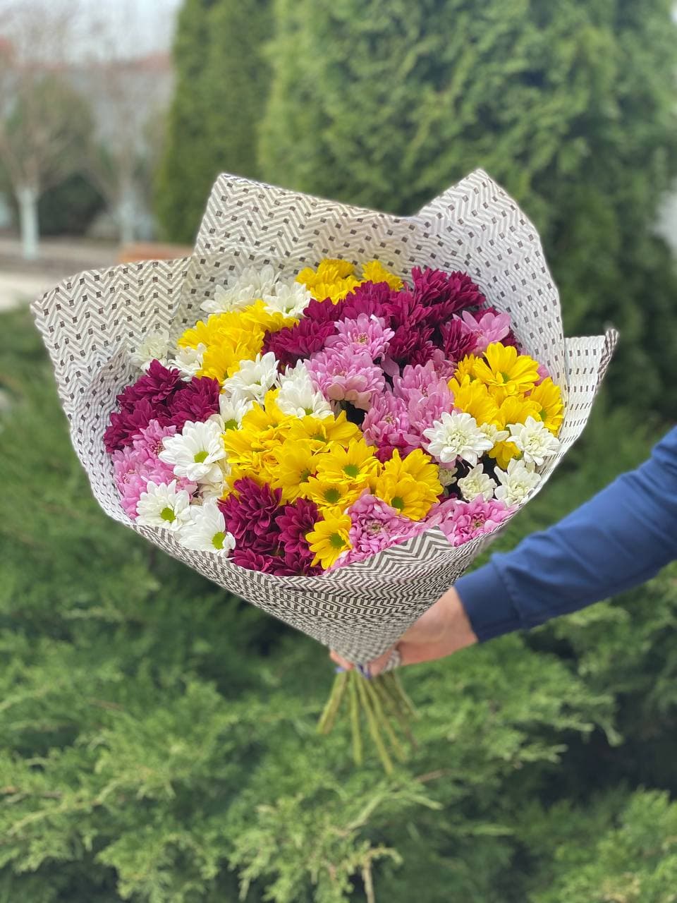 19 daisy-like chrysanthemums (color Red, White, Yellow and Purple)
