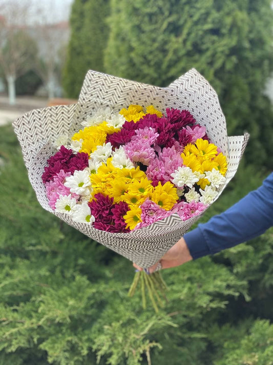 19 daisy-like chrysanthemums (color Red, White, Yellow and Purple)
