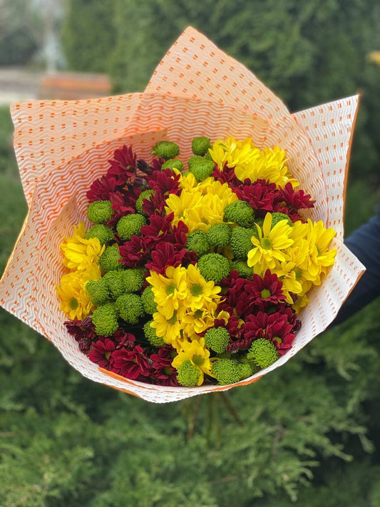15 chrysanthemums (color Yellow, Red and Green)