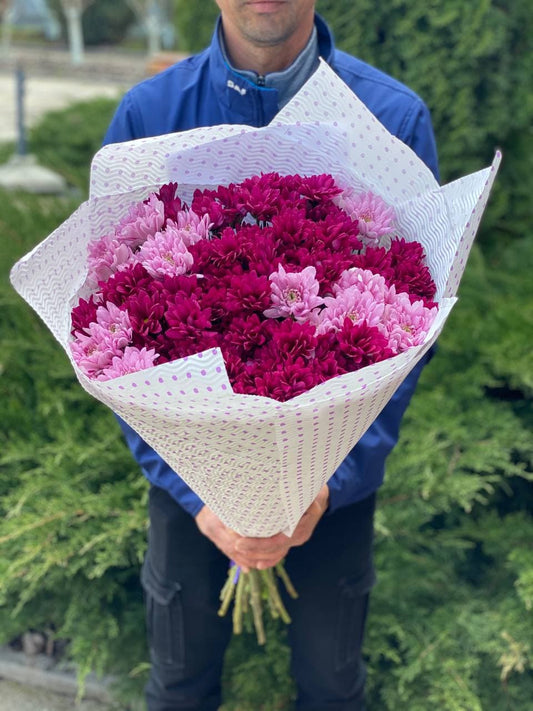 15 chrysanthemums (color Purple and Pink)
