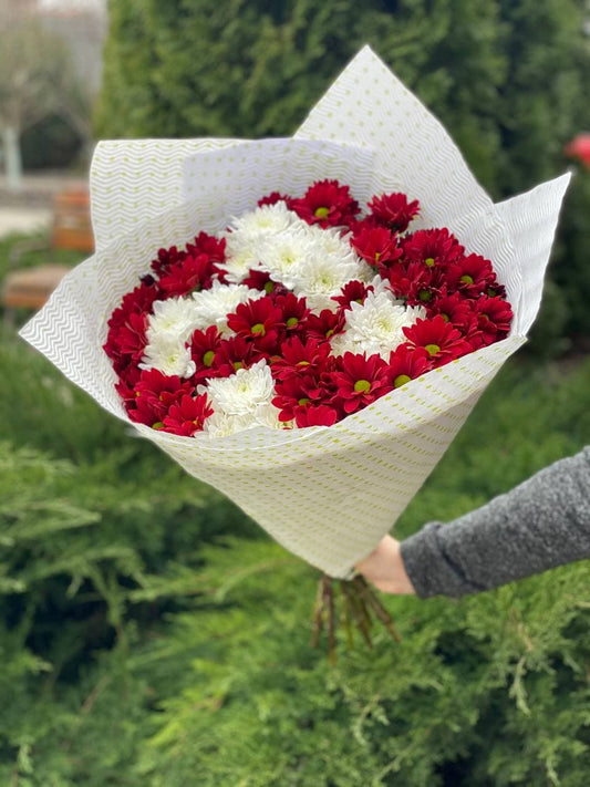 9 daisy-like chrysanthemums (color White and Red)
