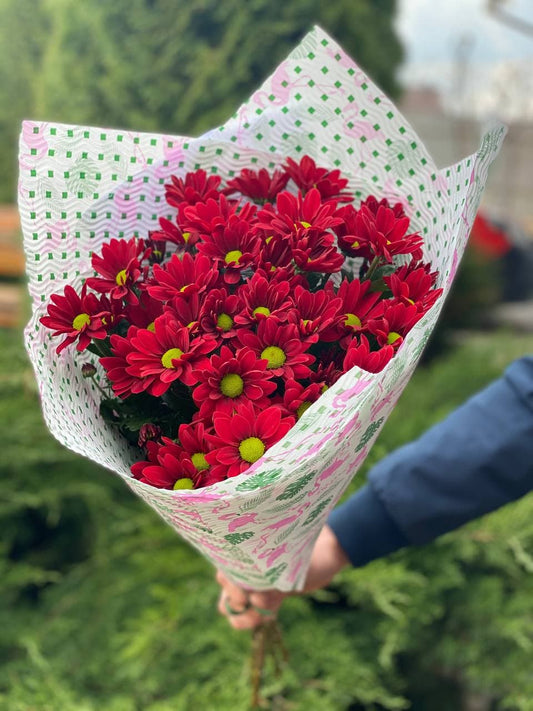5 daisy-like chrysanthemums (color Red)