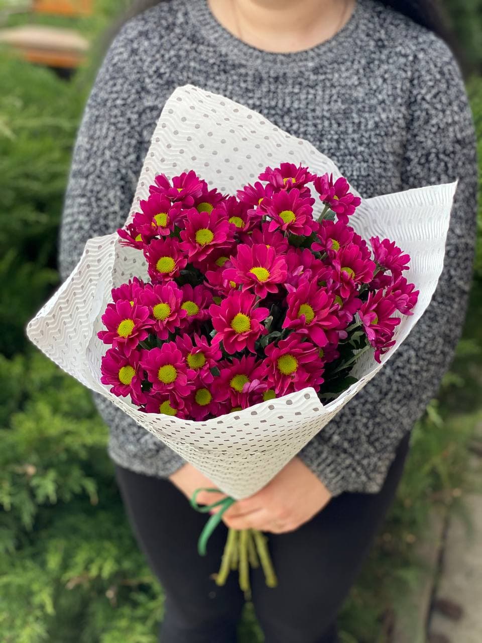 5 daisy-like chrysanthemums (color Purple)